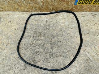 уплотнитель двери BMW X5 E70 2007, 3.0 л., дизель, АКПП, черный, внедорожник 5 дв., полный привод, правый руль, 4879467, 51767220382, 7220382, 51767207216, 7207216, 51767156417, 7156417