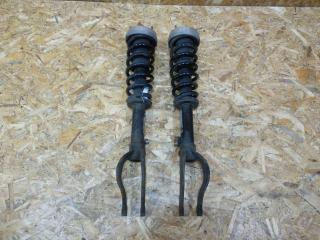 амортизатор передний BMW X5 E70 [рестайлинг] E70 2010, 4.0 л., дизель, АКПП, синий, внедорожник 5 дв., полный привод, правый руль, 6779966, 6781920, 31316780488, 6780488, 31314048552, 4048552, 31326779228, 6779228, 31326781920