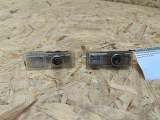 подсветка двери BMW X6 E71/E72 2008, 3.0 л., дизель, АКПП, внедорожник 5 дв., полный привод, правый руль