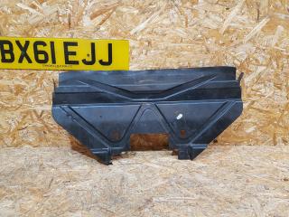 защита бампера (кенгурятник) BMW 3 серия E92/E93 [рестайлинг] E92 2010, 2.0 л., дизель, МКПП, купе, задний привод, правый руль, 7128503, 51757128503