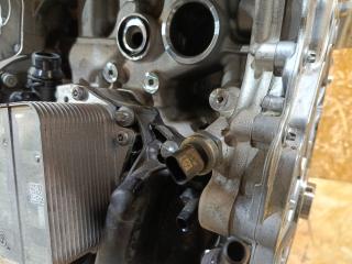 датчик давления масла BMW 1 серия F40 2024, бензин, МКПП, черный, хетчбэк 5 дв., передний привод, 8647488, 12618614494, 12618647488, 8614494, 8617488, 12618576615, 8576615