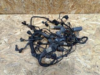 проводка двигателя BMW X5 F15 2014, 3.0 л., дизель, АКПП, коричневый, внедорожник 5 дв., полный привод, 7380802, 8516437, 12518516437