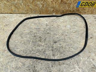 уплотнитель двери BMW X5 E70 2007, 3.0 л., дизель, АКПП, черный, внедорожник 5 дв., полный привод, правый руль, 4879467, 51767220382, 7220382, 51767207216, 7207216, 51767156417, 7156417