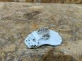 сопротивление печки BMW X5 E70 2008, 3.0 л., дизель, АКПП, внедорожник 5 дв., правый руль, 64119265892, 9265892, 64119266185, 9266185, 64119222072, 9222072, 64119146765, 9146765, 64116927090, 6927090 - фото №2
