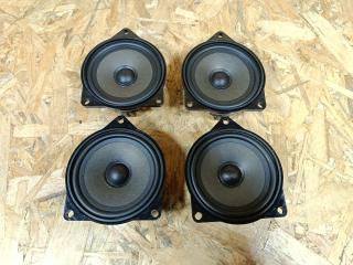 динамик двери BMW X5 E70 [рестайлинг] E70 2010, 4.0 л., дизель, АКПП, синий, внедорожник 5 дв., полный привод, правый руль, 65139141494, 9141494, 65136923174, 6923174