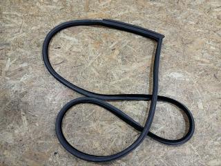 уплотнитель двери BMW 3 серия E92/E93 [рестайлинг] E92 2010, 2.0 л., дизель, АКПП, купе, правый руль, 51767175784, 7175784