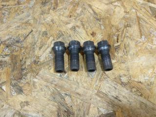 болт колесный BMW 2 серия Active Tourer F45 2015, дизель, АКПП, серый, минивэн, передний привод, 36136890324, 6890324, 36136781151, 6781151, 36136774896, 6774896