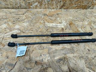 амортизатор капота BMW X5 E70 2008, 3.0 л., дизель, АКПП, внедорожник 5 дв., правый руль, 7148346, 51237148346