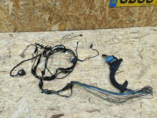 дверная проводка BMW X6 E71/E72 2008, 3.0 л., дизель, АКПП, внедорожник 5 дв., полный привод, правый руль, 9185661