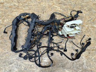 проводка двигателя BMW X5 E70 2007, 4.8 л., бензин, АКПП, серебро, внедорожник 5 дв., полный привод, правый руль, 7570409, 12517570409, 12517540876, 7540876