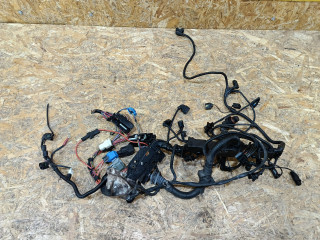 проводка двигателя BMW 3 серия E90/E91/E92/E93 E92 2007, 3.0 л., дизель, АКПП, купе, задний привод, правый руль, 7801726, 12517811807, 7811807, 12517796074, 12517801726, 12517802568, 12517804834, 7796074, 7802568, 7804834