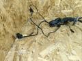 дверная проводка BMW X5 F15 2014, 3.0 л., дизель, АКПП, коричневый, внедорожник 5 дв., полный привод, 9323436 - фото №2
