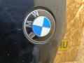 капот BMW X5 E70 [рестайлинг] E70 2010, 4.0 л., дизель, АКПП, синий, внедорожник 5 дв., полный привод, правый руль, 41617486754, 7486754, 41617273439, 7273439, 41007198615, 7198615, 41117174379, 7174379 - фото №18
