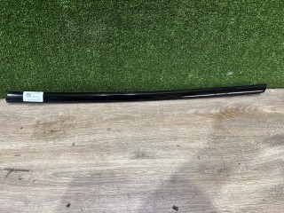молдинг двери передней левой Tesla Model S 1 поколение [2-й рестайлинг] 2022, ppsb, 160017100