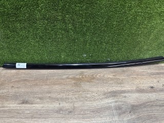 молдинг двери задней левой Tesla Model S 1 поколение [2-й рестайлинг] 2022, ppsb, 160017700, 160017800