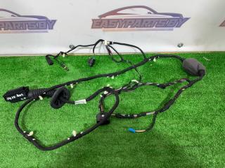 дверная проводка BMW X4 G02 [рестайлинг] G02 2023, 2.0 л., B46 A20 B, бензин, АКПП, черный 475, внедорожник 5 дв., полный привод