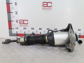 стойка амортизатора Volkswagen Phaeton 1 поколение 2003, 5.0 л., АКПП, седан, 3D0616040N