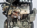 двигатель Audi A3 8P 2003, 1.6 л., BGU, бензин, МКПП, хетчбэк 3 дв., BGU - фото №3
