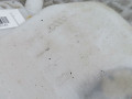 бачок омывателя Nissan Qashqai 1 поколение 2009, 1.6 л., МКПП, хетчбэк 5 дв., 28910JD000 - фото №5