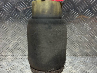 пневмостойка задняя BMW X5 E53 [рестайлинг] 2006, M57N 306 D2, АКПП, внедорожник 5 дв.