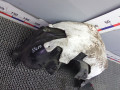 защита арок задняя правая (подкрылок) Peugeot 2008 2 поколение [рестайлинг] 2024, 1.2 л., бензин, внедорожник 5 дв. - фото №3