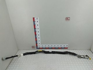 подушка безопасности боковая (шторка) Volkswagen Phaeton 1 поколение 2003, 5.0 л., АКПП, седан, 3D1880742D