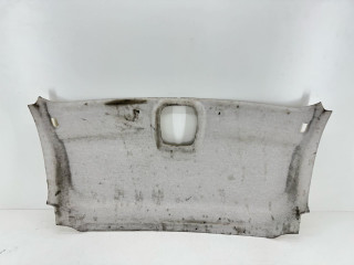 потолок Renault 2021, 2.0 л., дизель, 6МКПП, микроавтобус, 739017190R