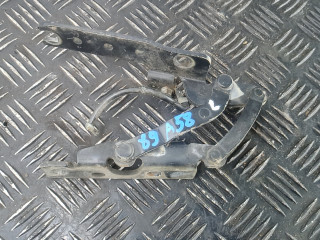 петля капота BMW 7 серия E65/E66/E67 [рестайлинг] 2007, 3.0 л., TDi, дизель, АКПП, седан