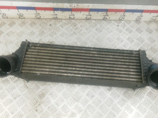 интеркулер BMW X5 E70 2008, 3.0 л., дизель, АКПП, внедорожник 5 дв.