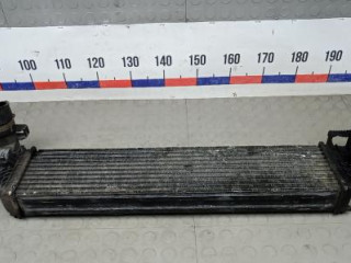 интеркулер Renault Laguna 2 поколение [рестайлинг] 2006, 2.0 л., дизель, хетчбэк 5 дв.