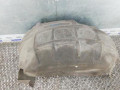 защита арок задняя правая (подкрылок) Audi Q7 4L 2008, 3.0 л., дизель, АКПП, внедорожник 5 дв., 4L0810172A - фото №2