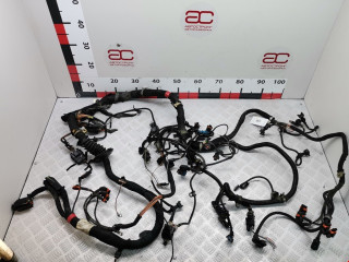 проводка Maserati Quattroporte 5 поколение 2006, 4.2 л., робот, седан