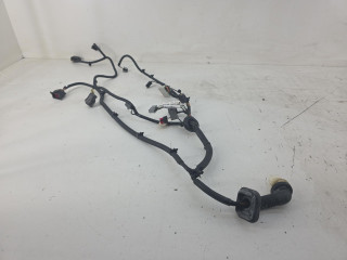 дверная проводка Aston Martin DB9 1 поколение [рестайлинг] 2012, BG4314630AA