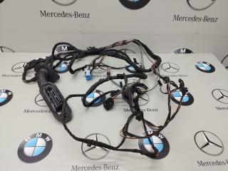 дверная проводка BMW 7 серия F01/F02 [рестайлинг] 2014, 3.0 л., N55 B30 A, бензин