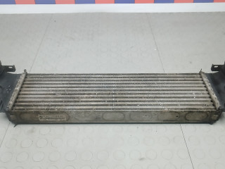 интеркулер BMW X5 E53 [рестайлинг] 2005, 3.0 л., TD, дизель, АКПП, внедорожник 5 дв., 1751779123102