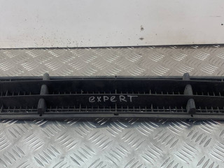 заглушка (решетка) в бампер Peugeot Expert 1 поколение 2001, 1474596077