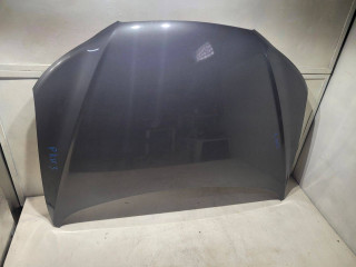 капот Hyundai Santa Fe 2 поколение (CM) 2008, 2.2 л., D4EB, дизель, АКПП, серый, внедорожник 5 дв., 664002B030