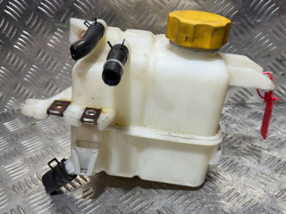 бачок расширительный Opel Antara 1 поколение 2009, 2.0 л., дизель, 5МКПП, внедорожник 5 дв.