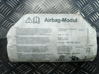 подушка безопасности пассажира Audi A8 D3/4E [рестайлинг] 2005, 3.0 л., бензин, АКПП, седан, 4E0864207K, 4E0864208J, 600664100D