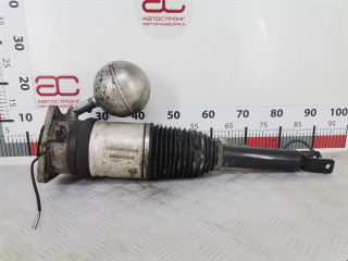 стойка амортизатора Volkswagen Phaeton 1 поколение 2003, 5.0 л., АКПП, седан, 3D0616002H