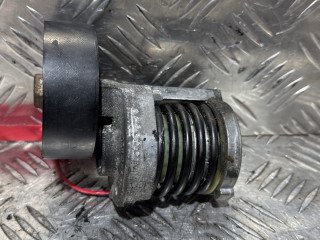 Натяжитель ремня агрегатов Skoda Roomster 1 поколение 2007, 1.9 л., BSW, дизель, 5МКПП, минивэн