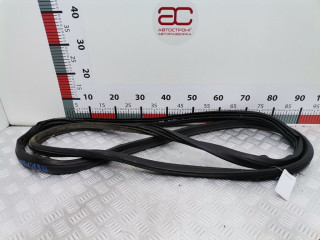 уплотнитель двери Ford Transit Connect 2 поколение 2016, 2.2 л., МКПП, фургон