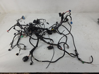 проводка двигателя Renault Zoe 1 поколение 2018, 240115252R, 403882404R