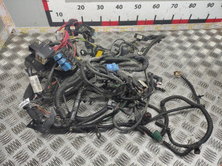 проводка Renault Lodgy 1 поколение 2013, 1.5 л., МКПП, универсал, 391002807R