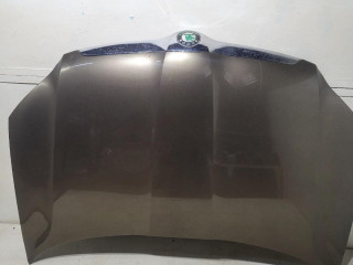 капот Skoda Yeti 1 поколение 2009, 2.0 л., CFHA, дизель, 5МКПП, коричневый