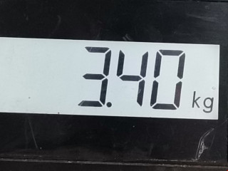 вакуумный усилитель тормозов Citroen C4 Cactus 1 поколение 2014, 1.2 л., МКПП, хетчбэк 5 дв., 1609894980