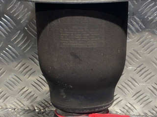 пневмостойка задняя BMW X5 E70 2008, M57 D30 (306D3), АКПП, черный, внедорожник 5 дв.