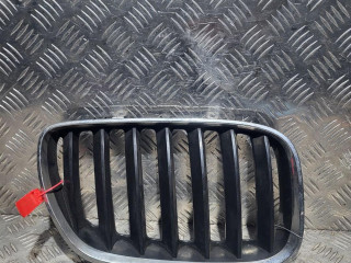 решетка радиатора BMW X5 E53 2003, 4.4 л., бензин