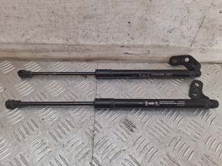 амортизатор крышки багажника (3-5 двери) Chevrolet Spark M200 2007, 95962017, 95962016