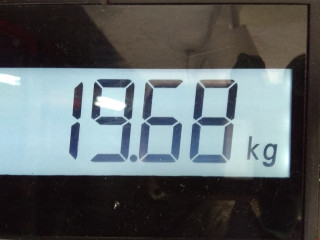 дверь задняя левая Fiat Sedici 1 поколение 2008, 1.6 л., МКПП, хетчбэк 5 дв., 71743029